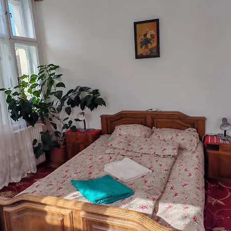 Apartment La 2 Pasi De Biserica Neagra *